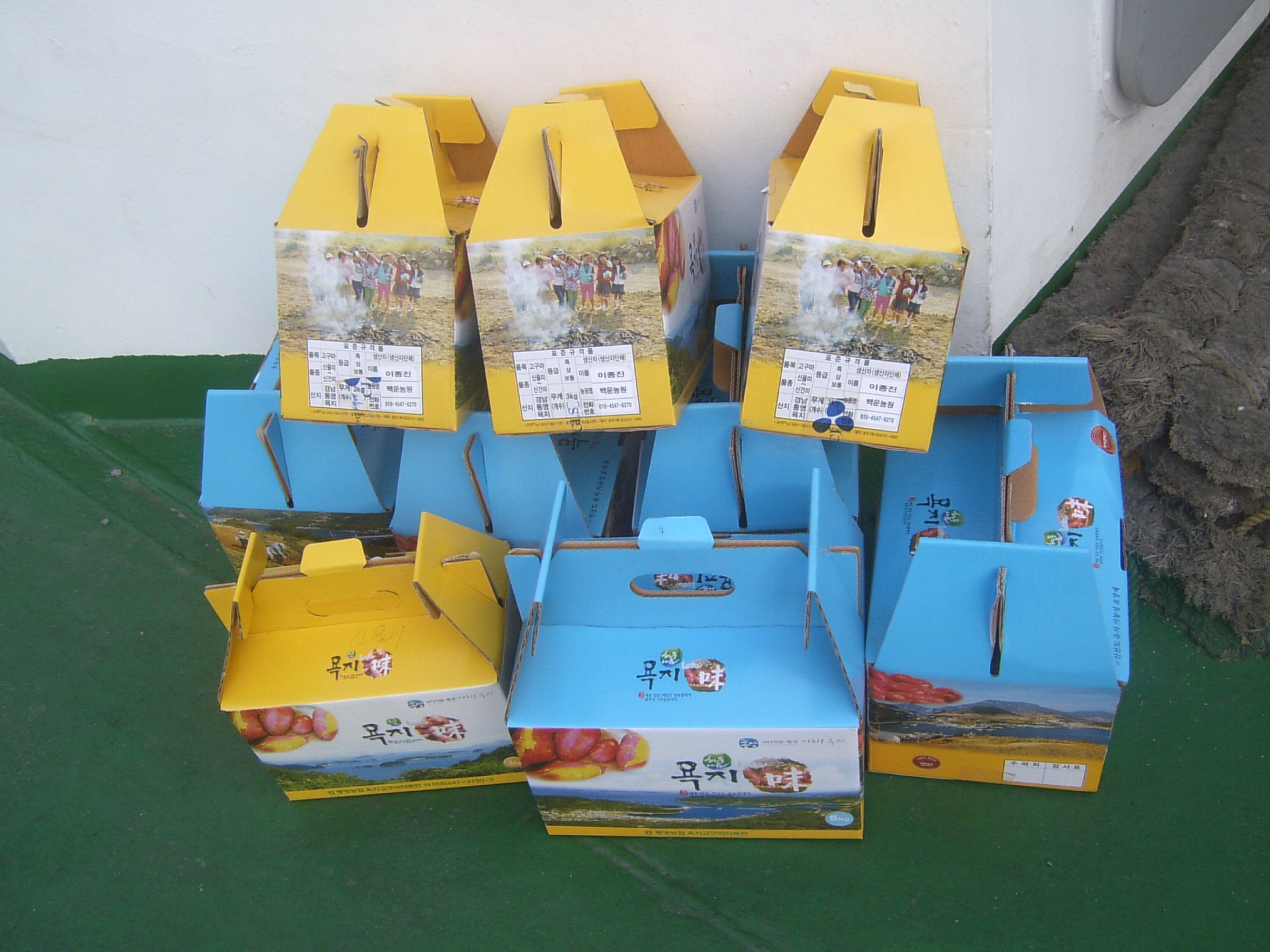 SUC40095.JPG